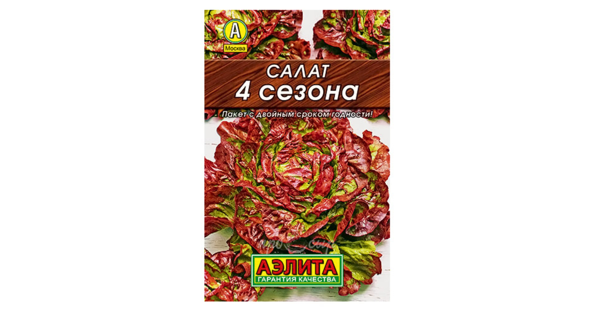 Салат 4 сезона фото описание